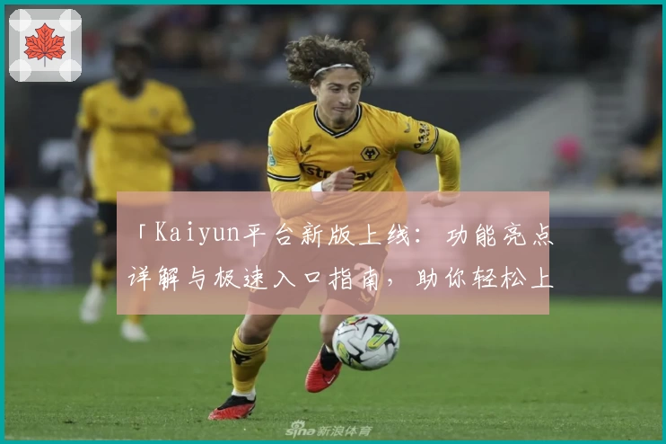 「Kaiyun平台新版上线:功能亮点详解与极速入口指南,助你轻松上手体验」